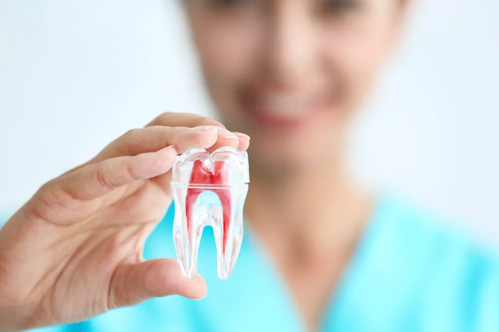 Carlston Dental Group Carlston Dental Group